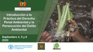 Leia mais sobre o artigo Introducción a la Práctica del Derecho Penal Ambiental y la Persecución del Delito Ambiental