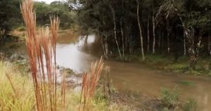 Leia mais sobre o artigo RIO MIRINGUAVA, UM RIO EDUCADOR: PERCEPÇÔES E NARRATIVAS NA PAISAGEM SOCIOAMBIENTAL