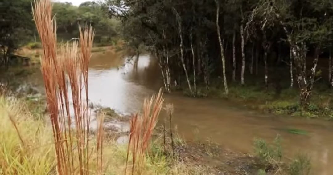 Leia mais sobre o artigo RIO MIRINGUAVA, UM RIO EDUCADOR: PERCEPÇÔES E NARRATIVAS NA PAISAGEM SOCIOAMBIENTAL